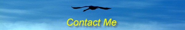 Contact Me
