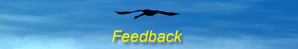 Feedback